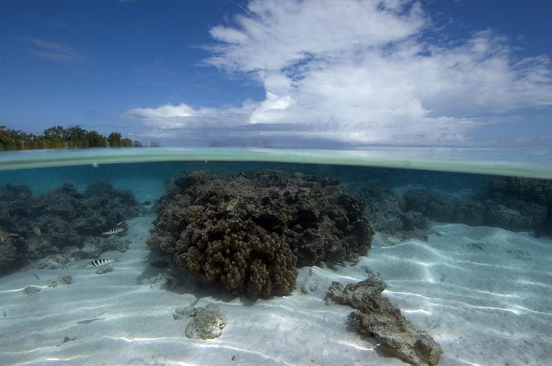 moorea lagon 082009_35.jpg